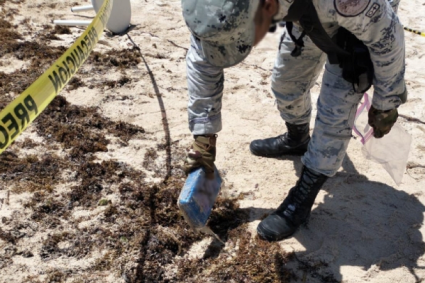 En Quintana Roo, Guardia Nacional localiza entre sargazo paquetes con posible cocaína